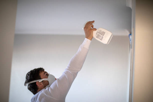 Best Black Mold Removal  in Briggs, OK