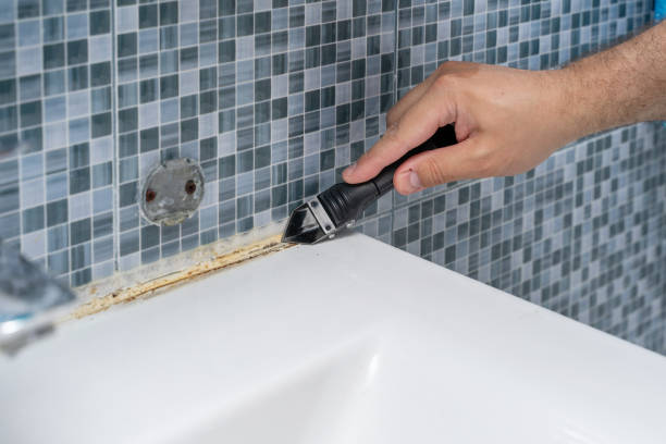 Best Residential Mold Removal  in Briggs, OK
